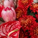 Red Anthurium & Protea Vase Arrangement