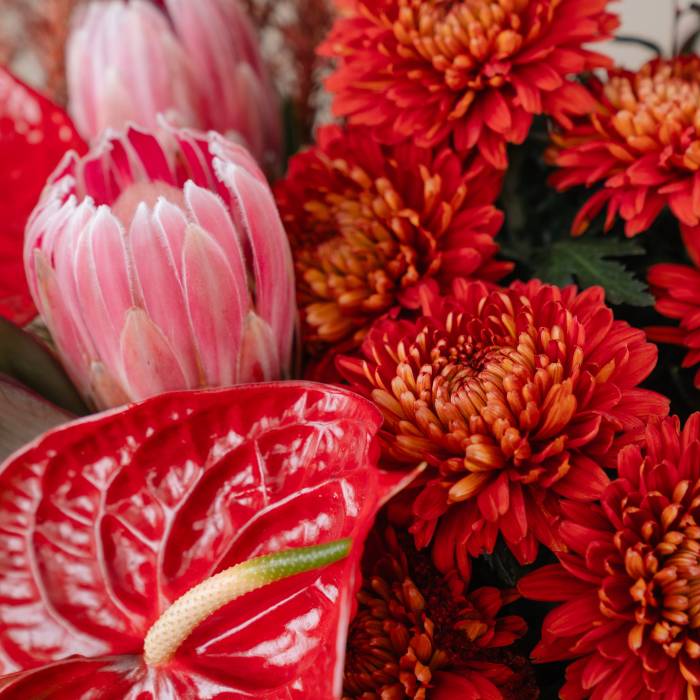 Red Anthurium & Protea Vase Arrangement