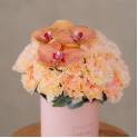 Peach Carnation & Yellow Orchid Petite Flower Box