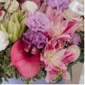 Pink Double Petaled Lily and Lilac Carnation Flower Box