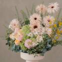 Holland Gerbera and Garden Rose Vase Arrangement