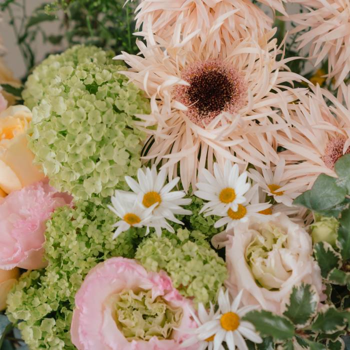 Holland Gerbera and Garden Rose Vase Arrangement