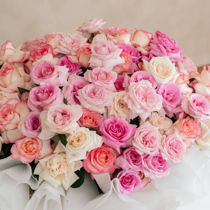 Belle Amour