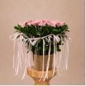 Gerbera Daisy Basket Arrangement