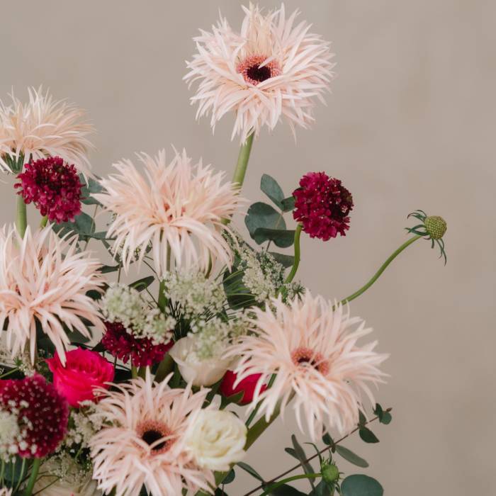 Jellycat Blushkin Bunny and Cheerful Holland Gerberas