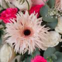 Jellycat Blushkin Bunny and Cheerful Holland Gerberas
