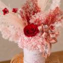 Scarlet Blush