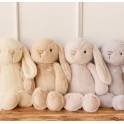Hot Air Balloon - Jellycat Bunny and Fresh Flowers