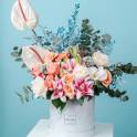 Botanical Wonderland