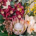Divine Treasures