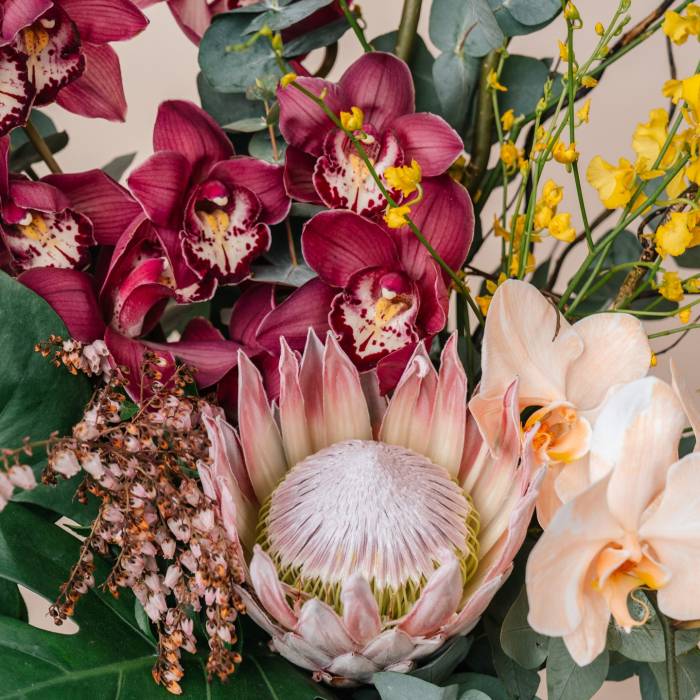 Divine Treasures