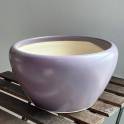 Grand Phalaenopsis Orchid Vase