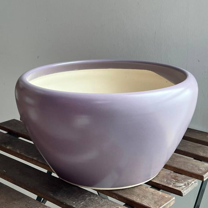 Grand Phalaenopsis Orchid Vase