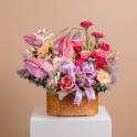 Enchanting Anthurium Delight