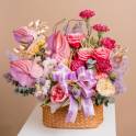 Enchanting Anthurium Delight