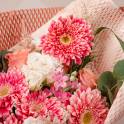 For The Love of Daisy