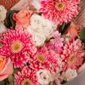 For The Love of Daisy