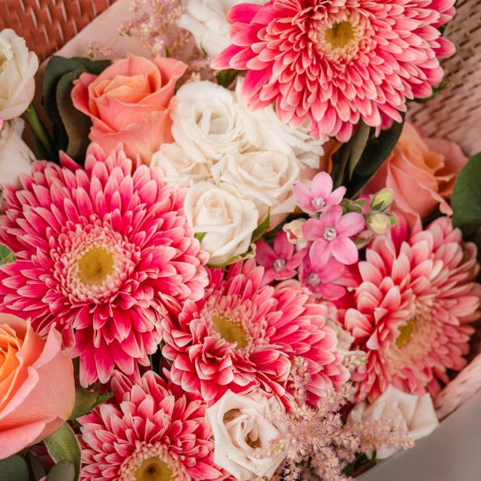 For The Love of Daisy