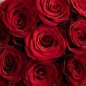 I Heart You Rose Box