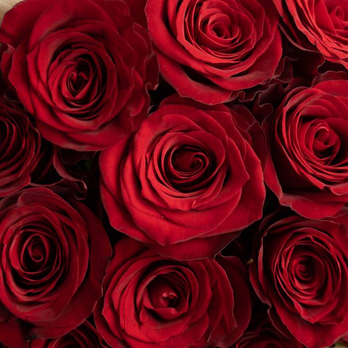 I Heart You Rose Box