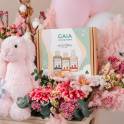 Oh Hello Baby Gift Set