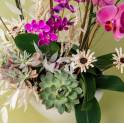 Vibrant Orchid Vase