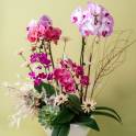 Vibrant Orchid Vase