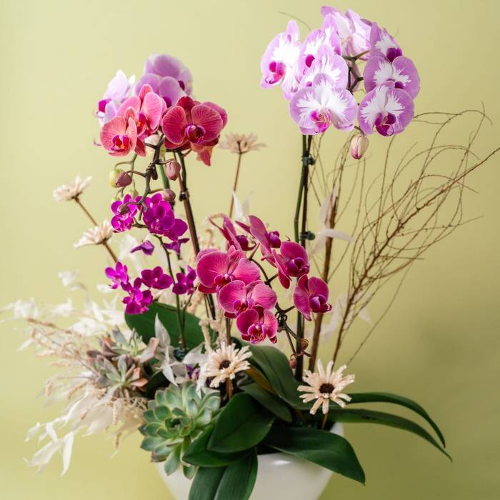 Vibrant Orchid Vase