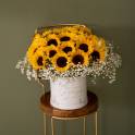 Sunflower in Love
