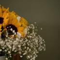 Sunflower in Love