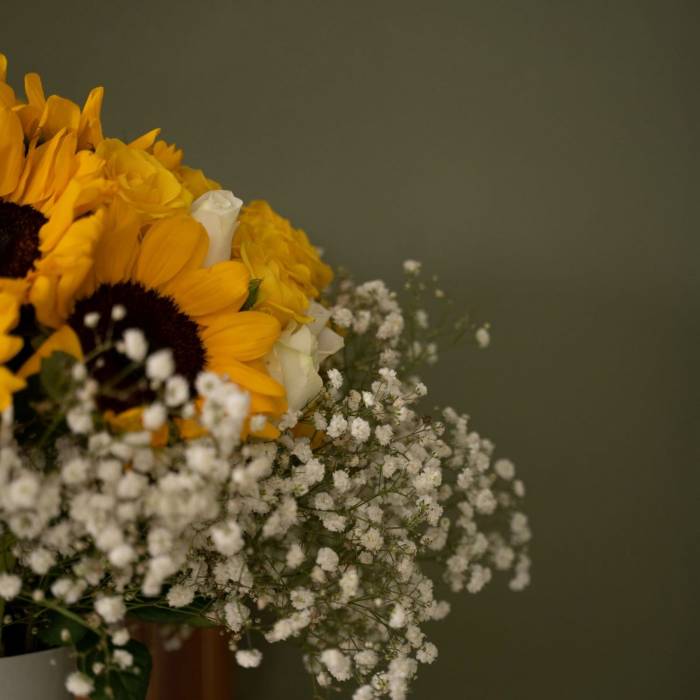 Sunflower in Love