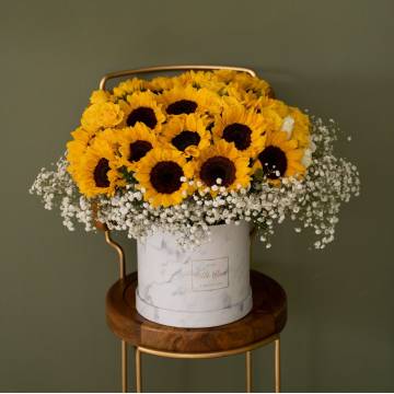 Sunflower in Love