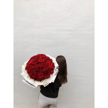 99 Premium Roses  with Gypsophila