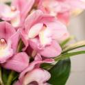 Dainty Pink Orchid Arrangement