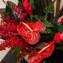 Fiery Passion