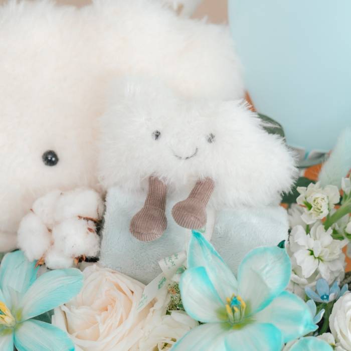 Fluffy Cloud Newborn Gift Box