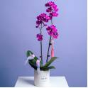Petite Orchid Vase