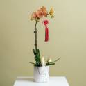 Petite Orchid Vase