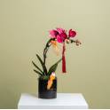 Petite Orchid Vase