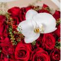 Amore - Premium Red Roses Bouquet