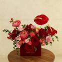 Ruby Envelope