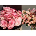 Ever After Bloom