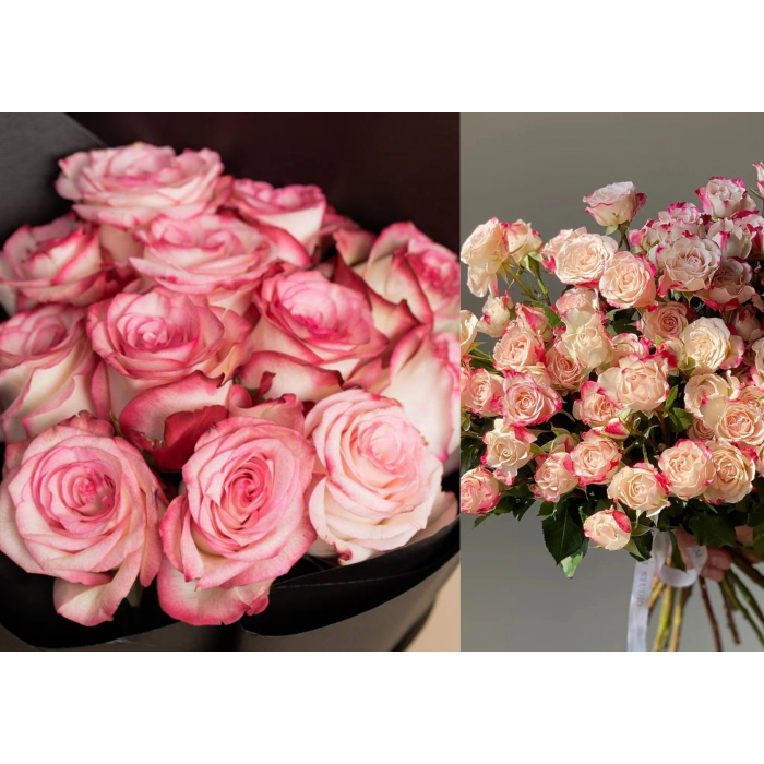 Ever After Bloom