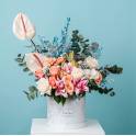 Botanical Wonderland