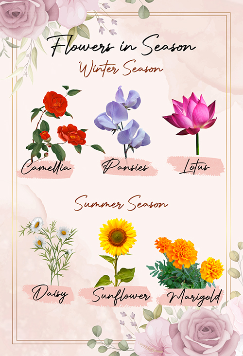 Flowers in Season