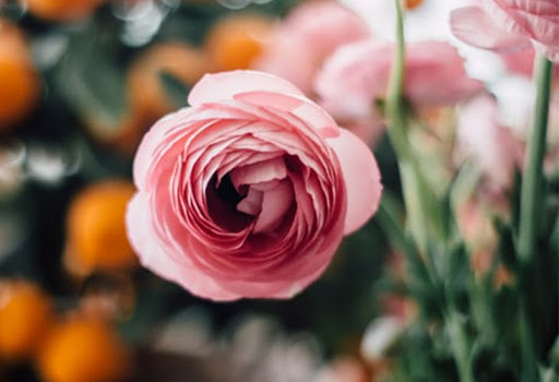 Ranunculus Bridal Bouquet
