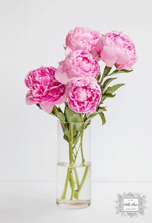 peonies wedding flower singapore